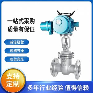 Z941W-16P不銹鋼電動(dòng)閘閥dn50價(jià)格