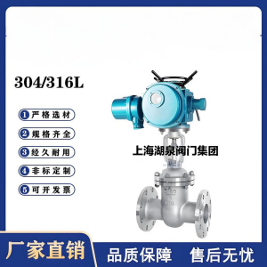 Z941W-16P，DN250，CF8/F304不銹鋼電動(dòng)閘閥